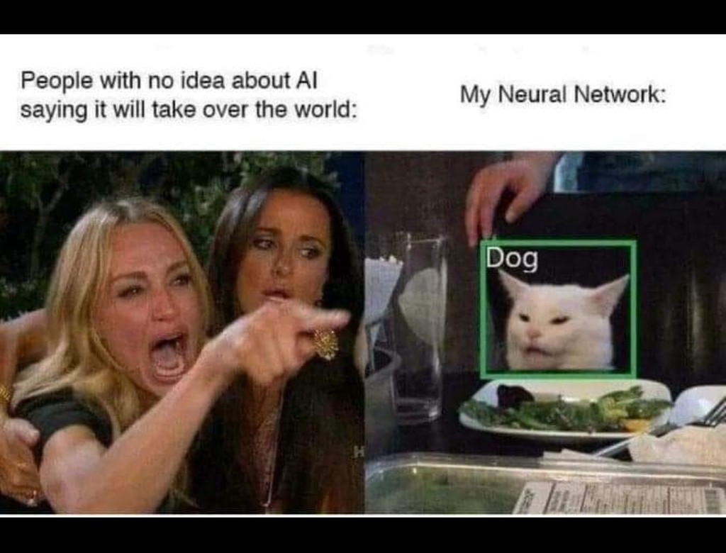 dog_cat_meme